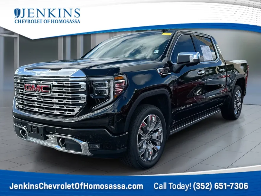 2024 Gmc Sierra 1500 Denali photo 1