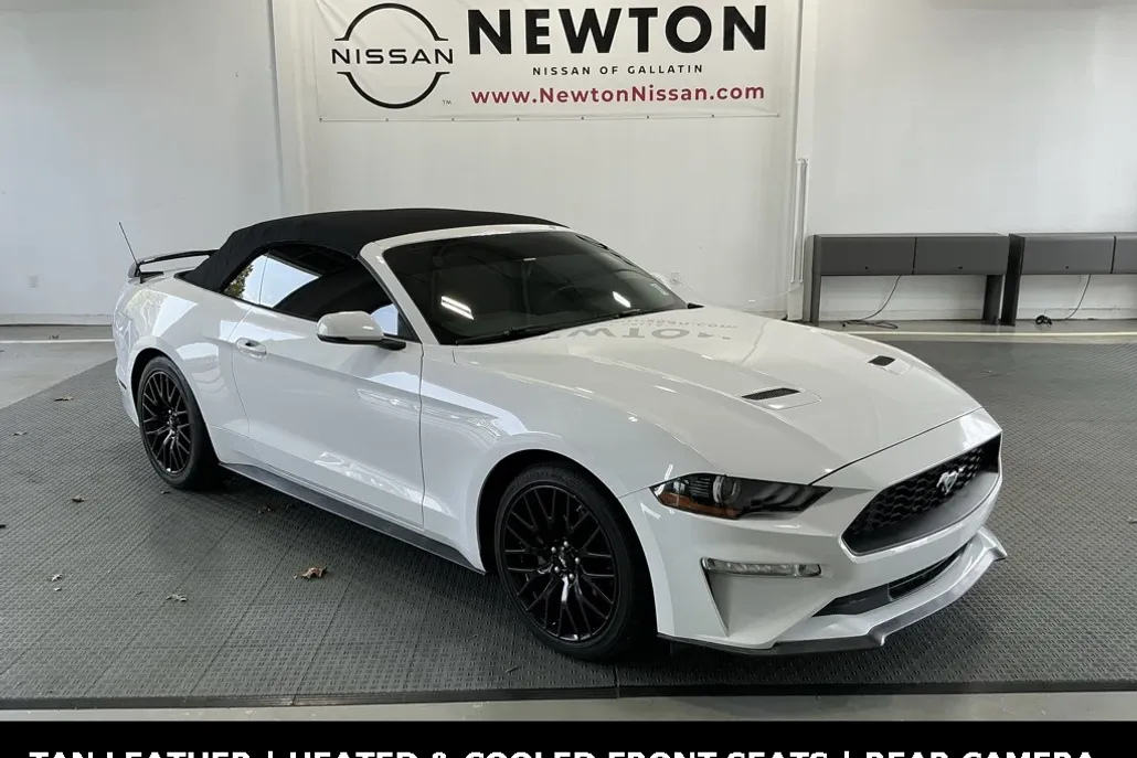 2019 Ford Mustang EcoBoost Premium photo 1