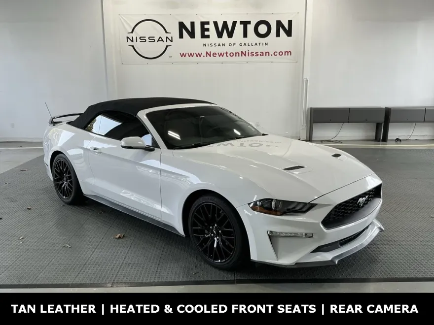 2019 Ford Mustang EcoBoost Premium photo 1