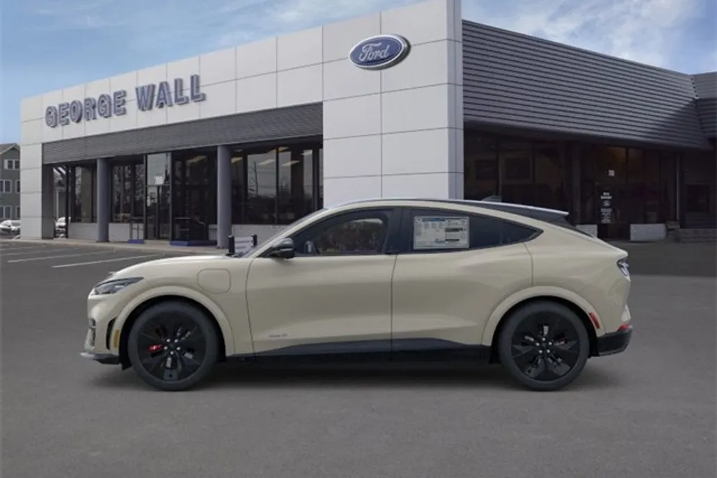 2025 Ford Mustang Mach-E GT photo 3