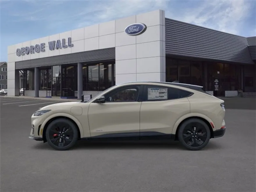 2025 Ford Mustang Mach-E GT photo 3