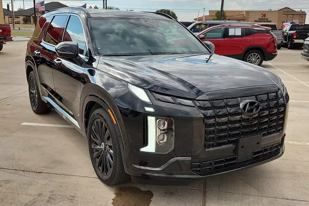 2024 Hyundai Palisade Calligraphy photo 1