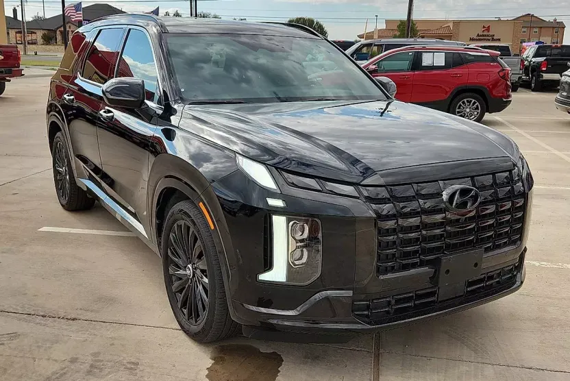 2024 Hyundai Palisade Calligraphy photo 1