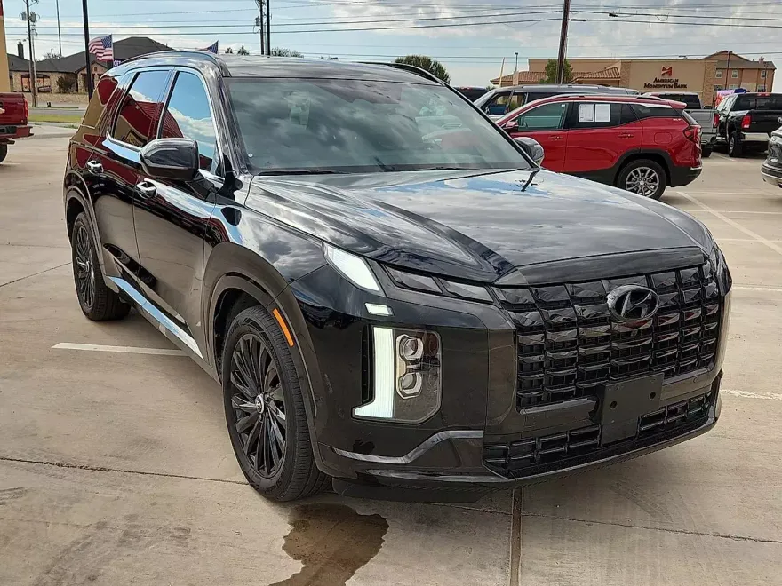 2024 Hyundai Palisade Calligraphy photo 1
