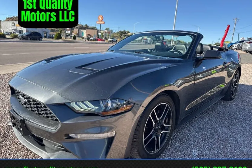 2019 Ford Mustang EcoBoost Premium Convertible photo 1