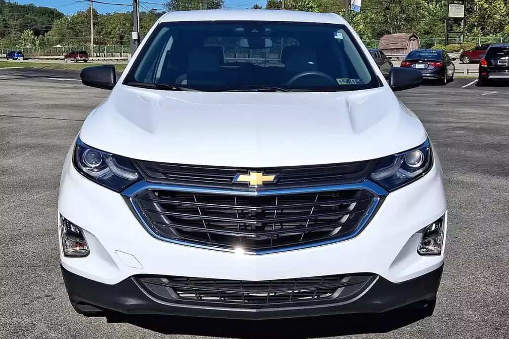 2020 Chevrolet Equinox LS photo 1