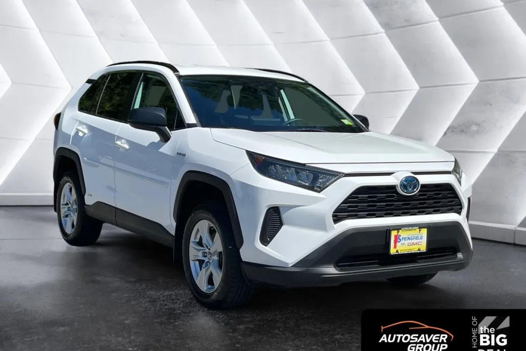 2020 Toyota RAV4 Hybrid LE photo 1