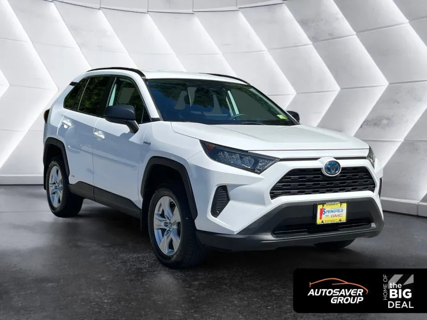 2020 Toyota RAV4 Hybrid LE photo 1