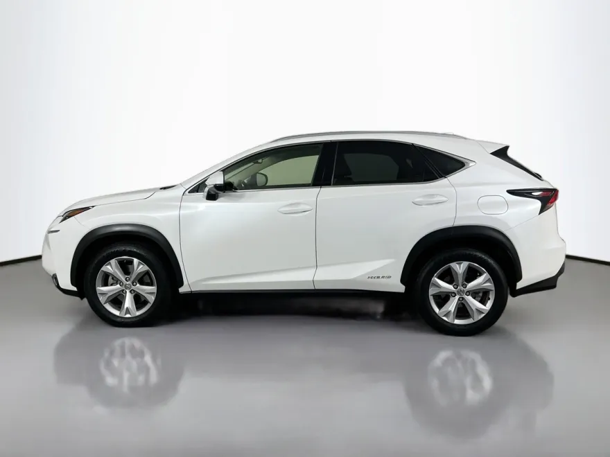 2017 Lexus NX 300h Luxury photo 1