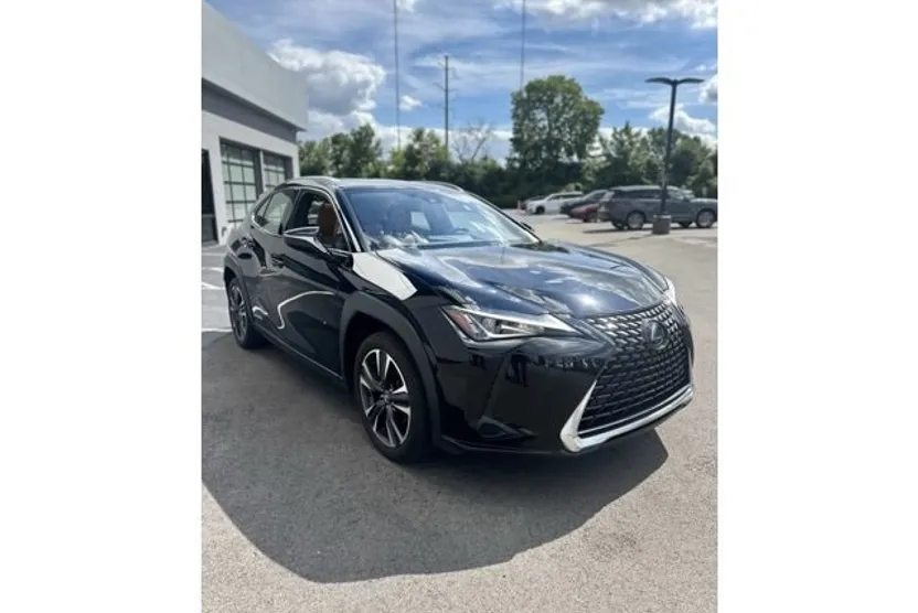 2021 Lexus UX 250h photo 1