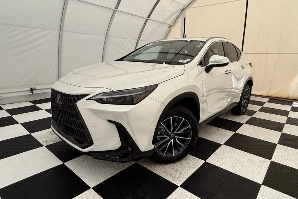 2025 Lexus NX Luxury photo 1