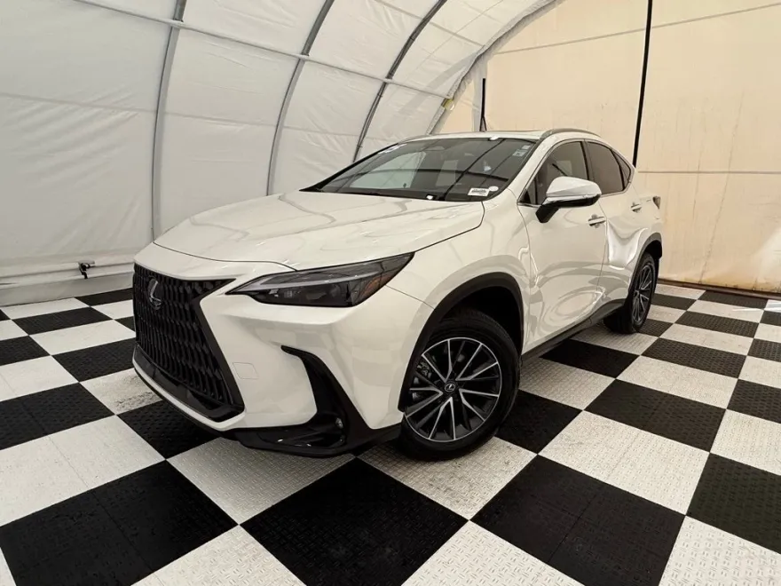 2025 Lexus NX Luxury photo 1