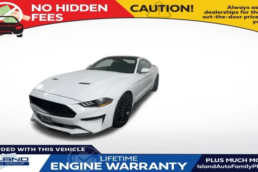 2019 Ford Mustang EcoBoost photo 1