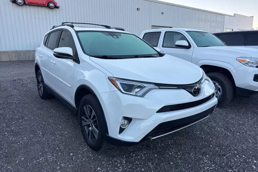 2017 Toyota RAV4 XLE photo 1