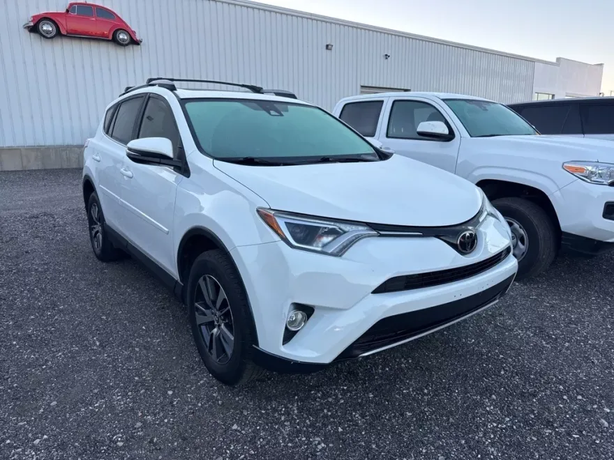 2017 Toyota RAV4 XLE photo 1