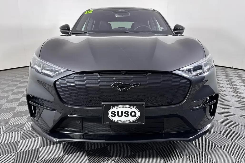 2022 Ford Mustang Mach-E GT photo 1