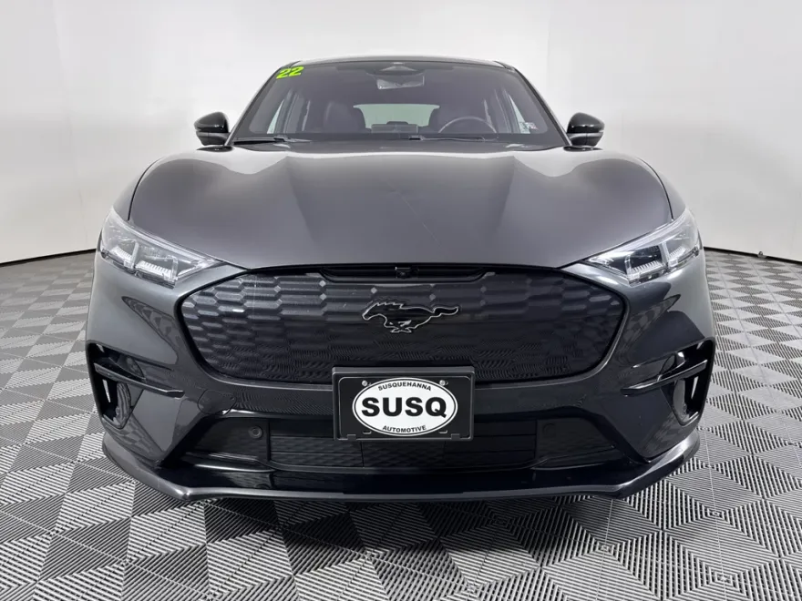 2022 Ford Mustang Mach-E GT photo 1
