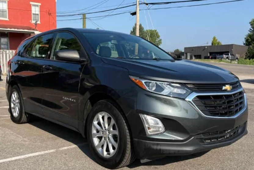 2019 Chevrolet Equinox LS photo 1