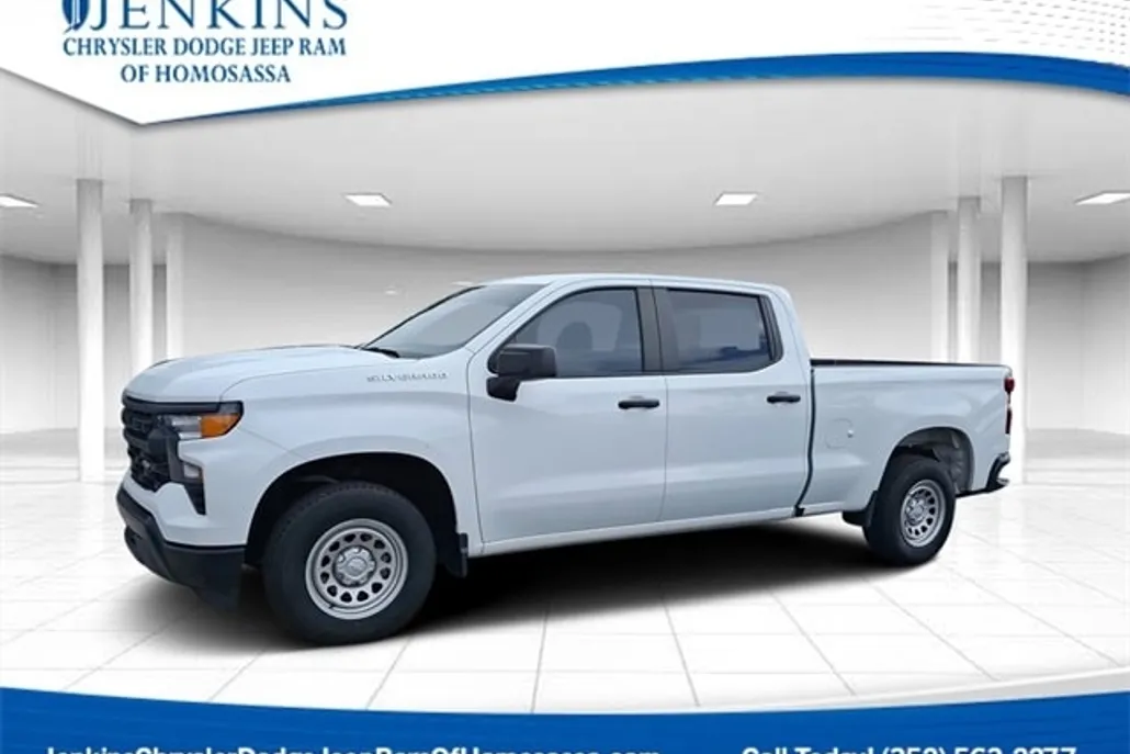 2023 Chevrolet Silverado 1500 Work Truck photo 1