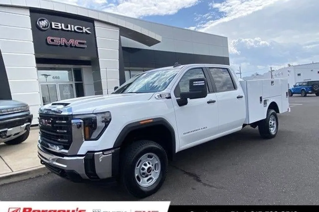 2025 Gmc Sierra 1500 Pro photo 1