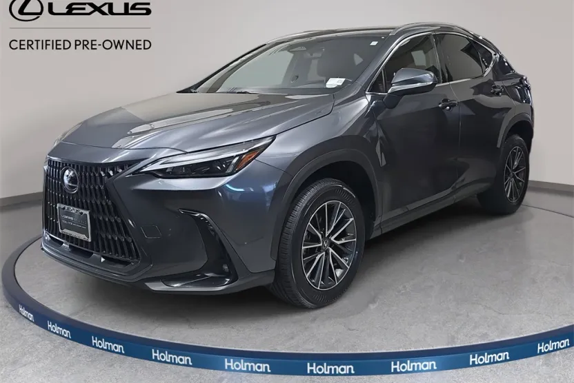 2022 Lexus NX 250 photo 1