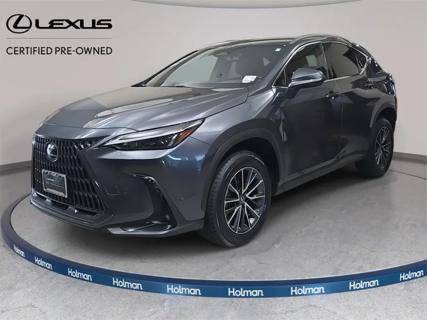 2022 Lexus NX 250 photo 1
