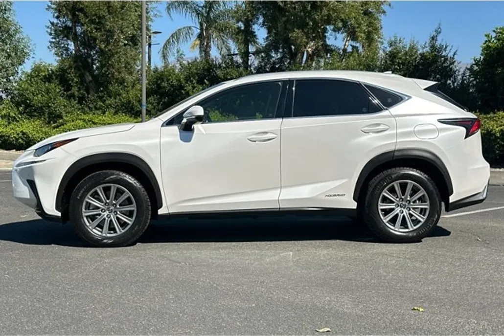 2019 Lexus NX 300h Luxury photo 1