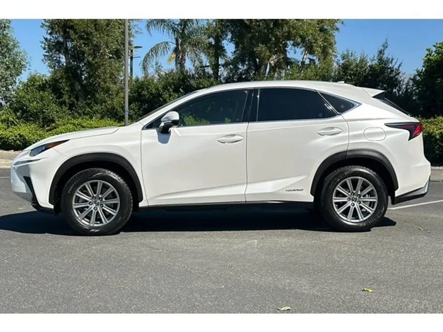 2019 Lexus NX 300h Luxury photo 1