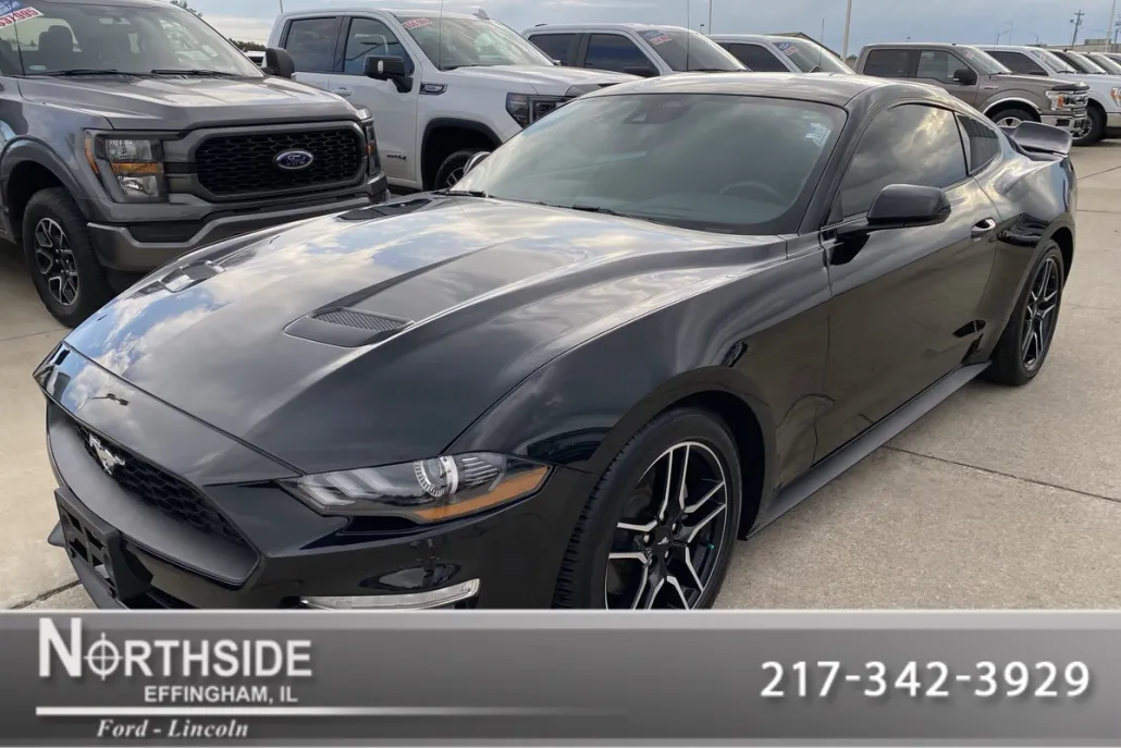 2022 Ford Mustang EcoBoost photo 1