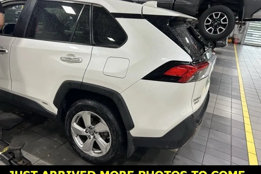 2019 Toyota RAV4 Limited photo 1