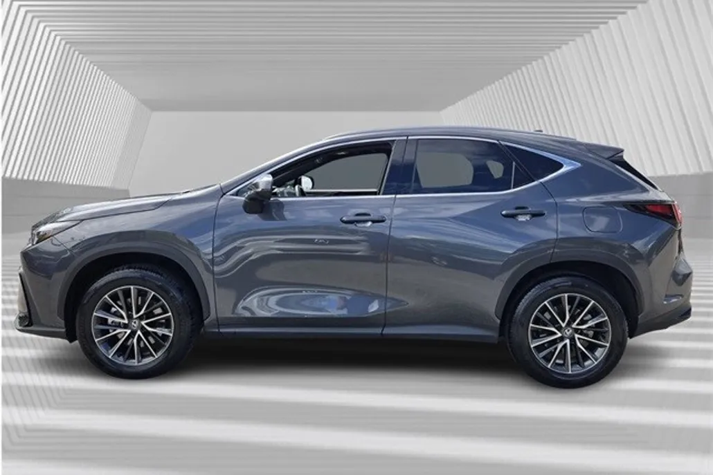2025 Lexus NX 250 Premium photo 1