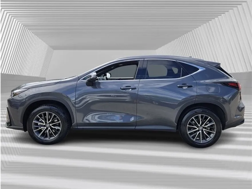 2025 Lexus NX 250 Premium photo 1