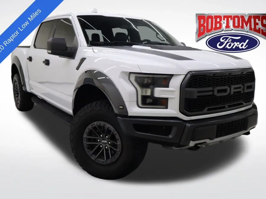 2020 Ford F-150 Raptor photo 1