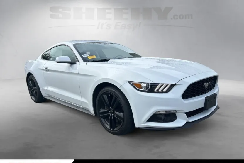 2017 Ford Mustang EcoBoost photo 1