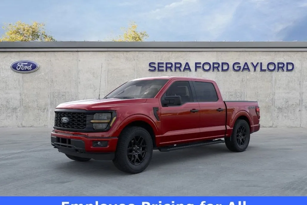 2025 Ford F-150 STX photo 1