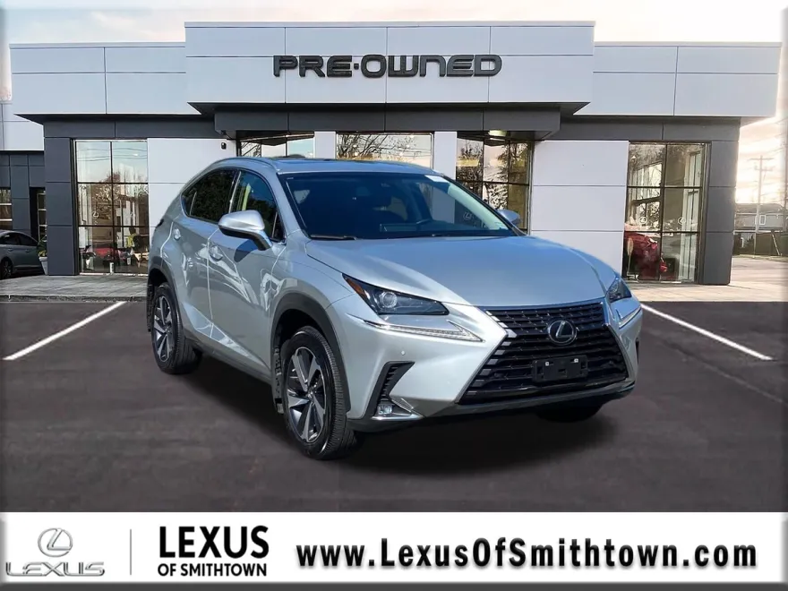 2019 Lexus NX 300 Luxury photo 1