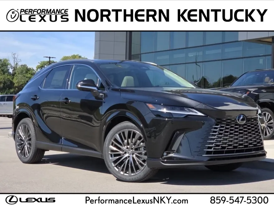 2025 Lexus RX 350 Luxury photo 1