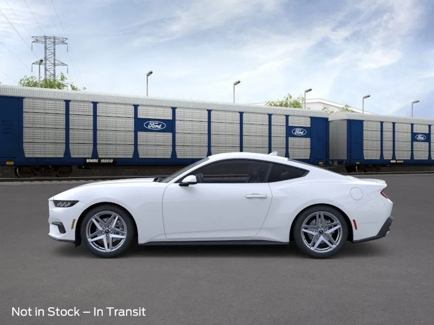 2025 Ford Mustang EcoBoost photo 1