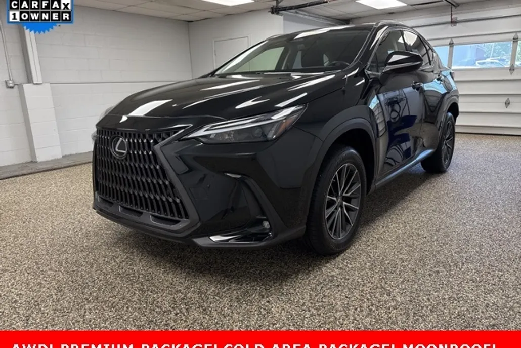 2022 Lexus NX 250 Premium photo 1