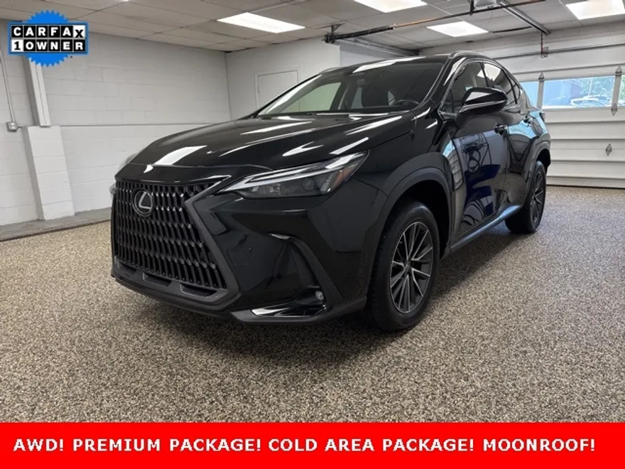 2022 Lexus NX 250 Premium photo 1
