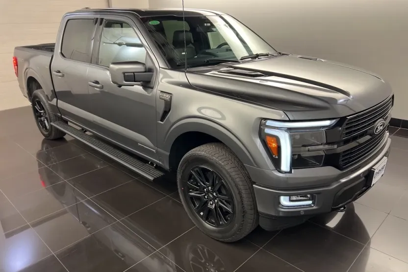 2025 Ford F-150 Platinum photo 1