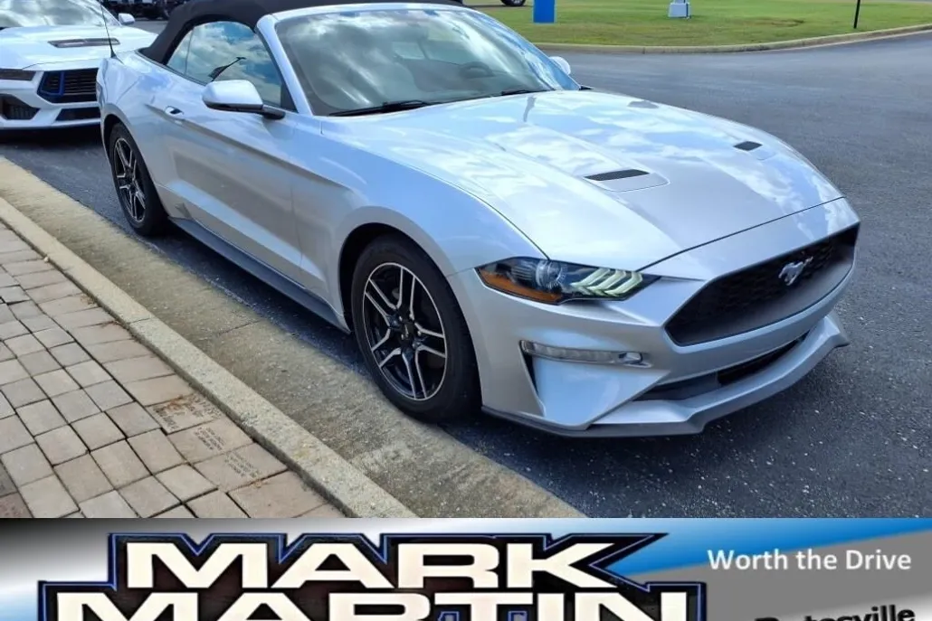 2019 Ford Mustang EcoBoost Convertible photo 1
