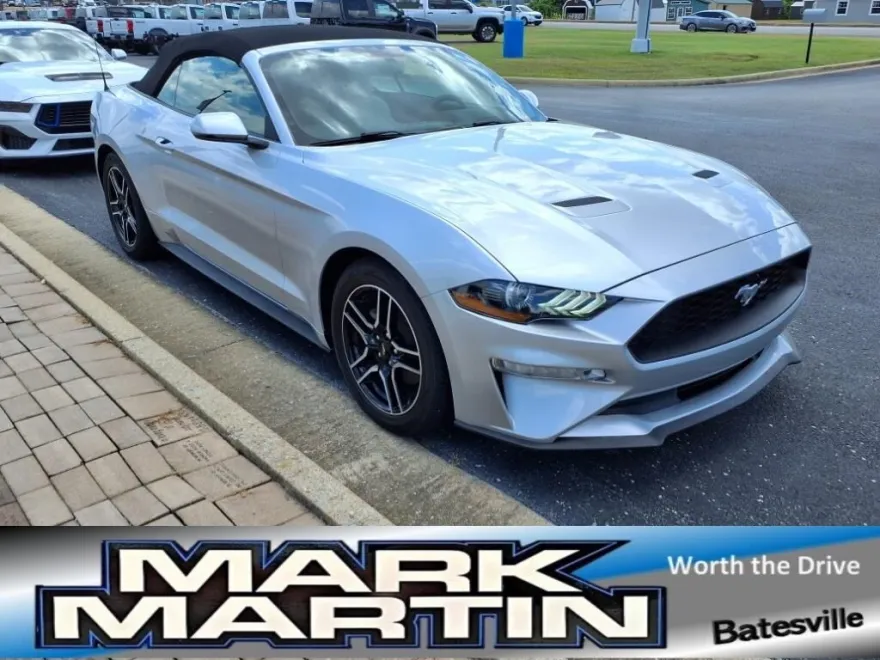 2019 Ford Mustang EcoBoost Convertible photo 1