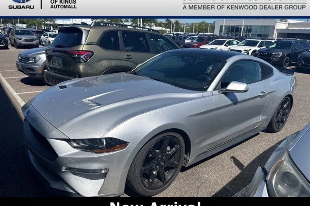 2019 Ford Mustang EcoBoost photo 1