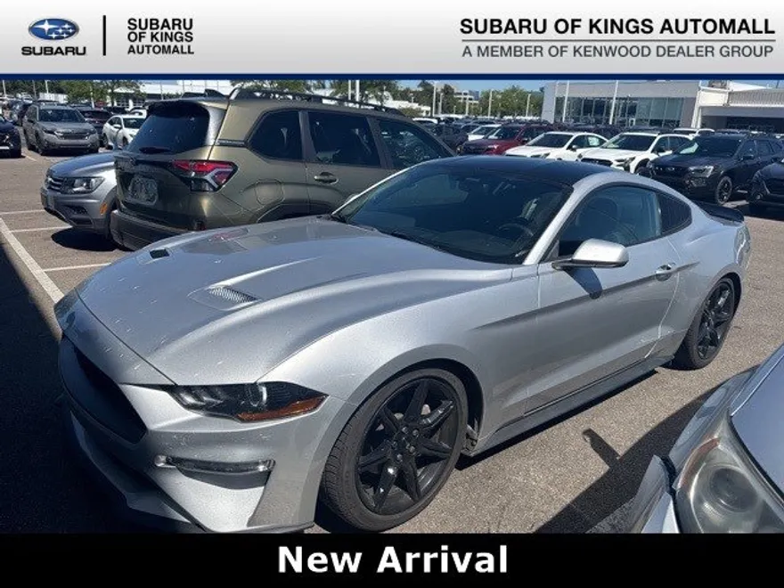 2019 Ford Mustang EcoBoost photo 1