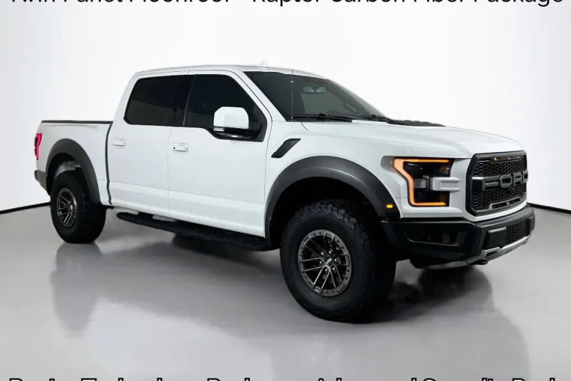 2019 Ford F-150 Raptor photo 1