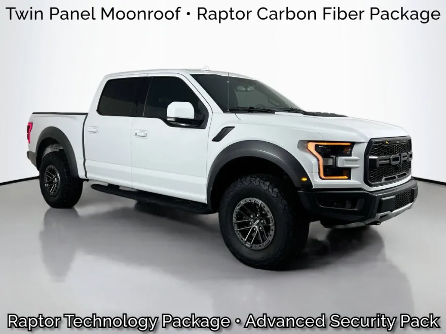 2019 Ford F-150 Raptor photo 1