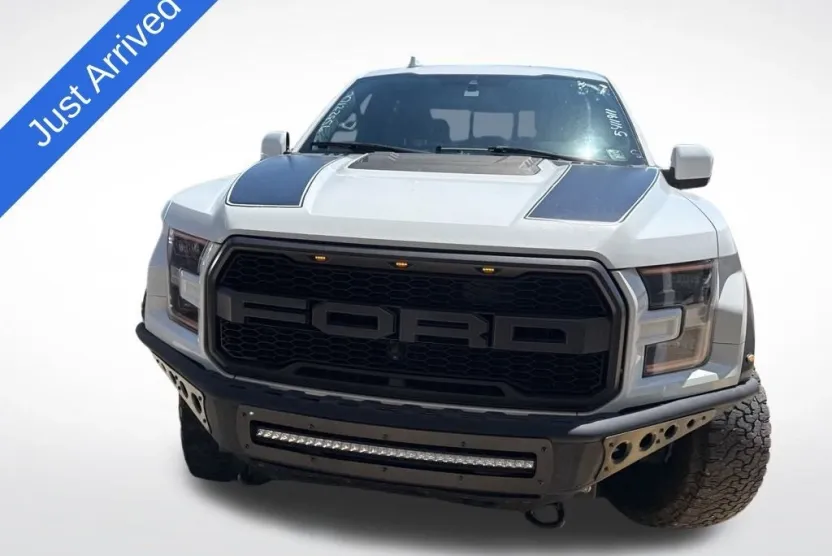 2019 Ford F-150 Raptor photo 1