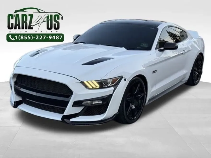 2015 Ford Mustang GT photo 1
