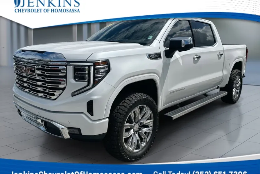 2024 Gmc Sierra 1500 Denali photo 1